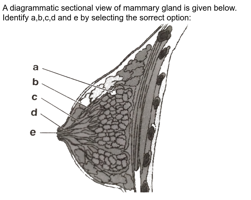 The Figure Given Below Depicts A Diagrammatic Sectional View Of Th