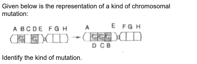 Given Below Is A Representation Of A Kind Of Chromosomal Mutation