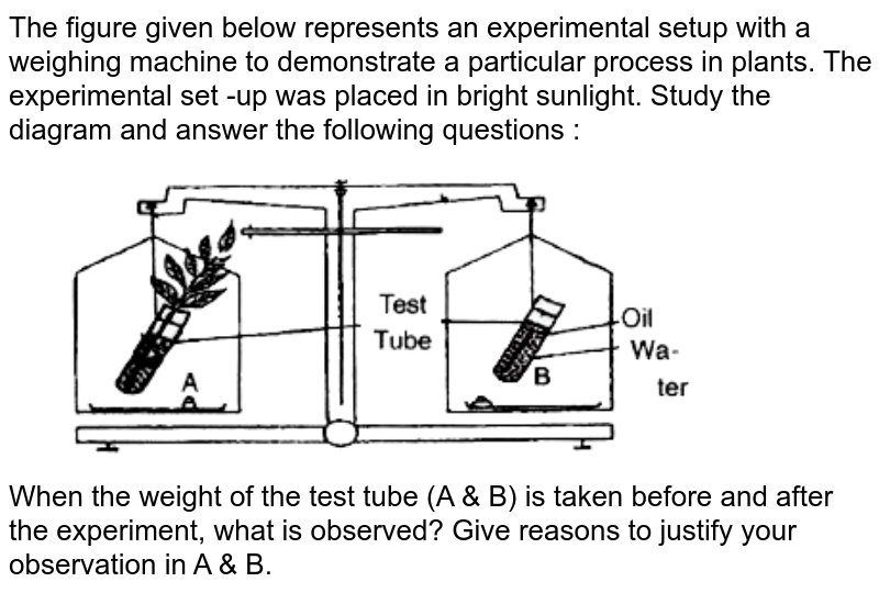 The Diagram Below Represents A Process In Plants The Setup Was Pl