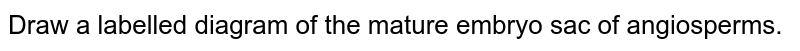 Draw A Labelled Diagram Of The Structure Of Mature Dicot Embryo