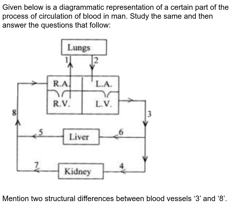 The Figures Given Below Show Diagrammatic Cross Sections Of Three