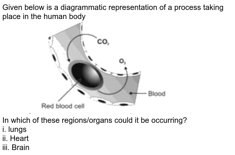 The Figure Given Below Is A Diagrammatic Representation Of Respons