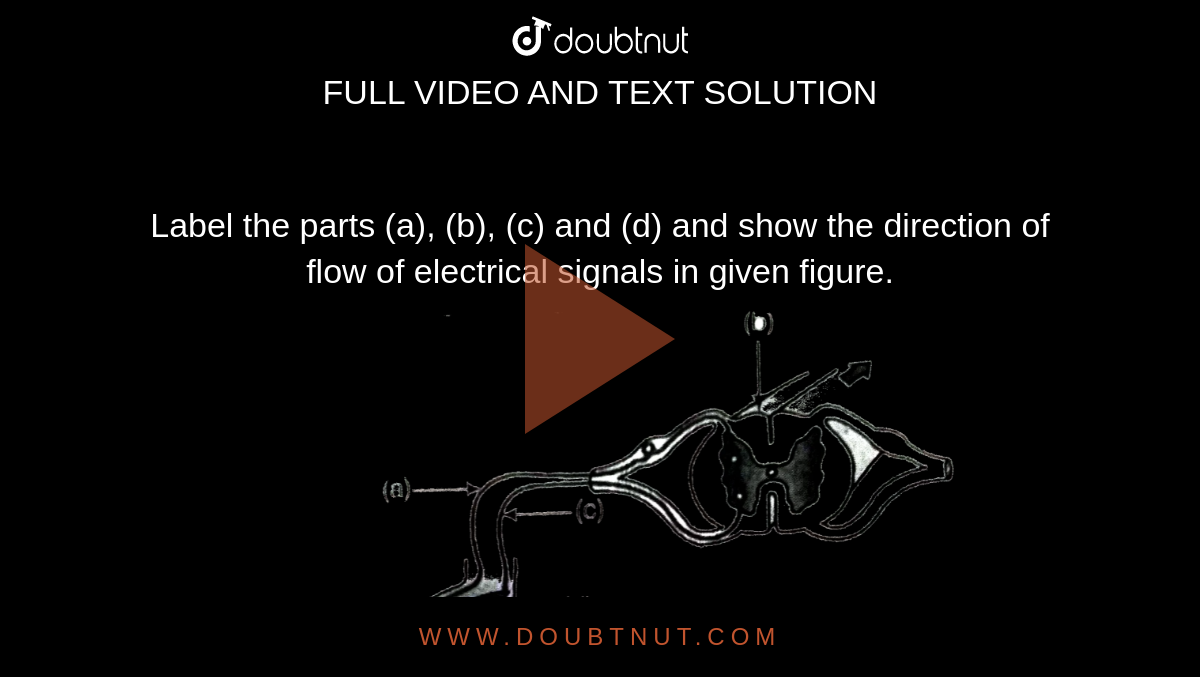 Label The Parts A B C And D And Show The Direction Of Flow Of