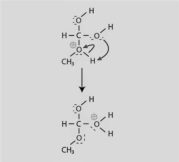 process of esterification step 3