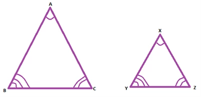 Similar Triangle