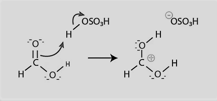 process of esterification step 1