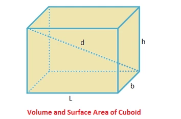 volume and surface area of cuboid