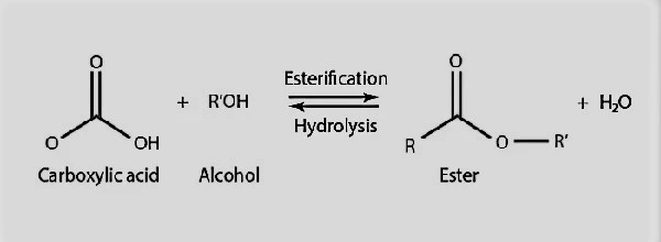 chemical reaction for esterification