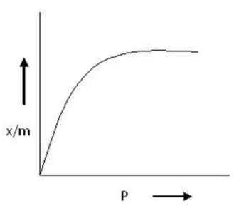 Freundlich isotherm curve