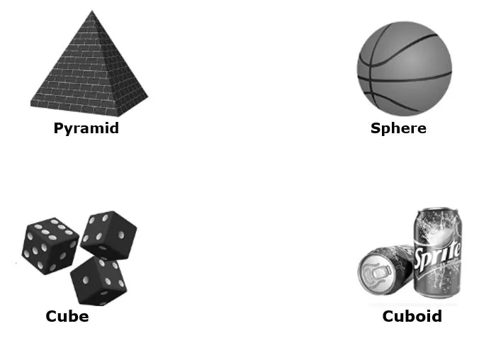 three-dimensional shapes of Polygon (3D shape)