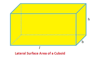 lateral surfae area of cuboid