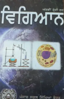 PSEB (PUNJABI MEDIUM)