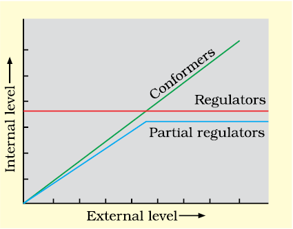 Ecology - NCERT Class 12 Biology