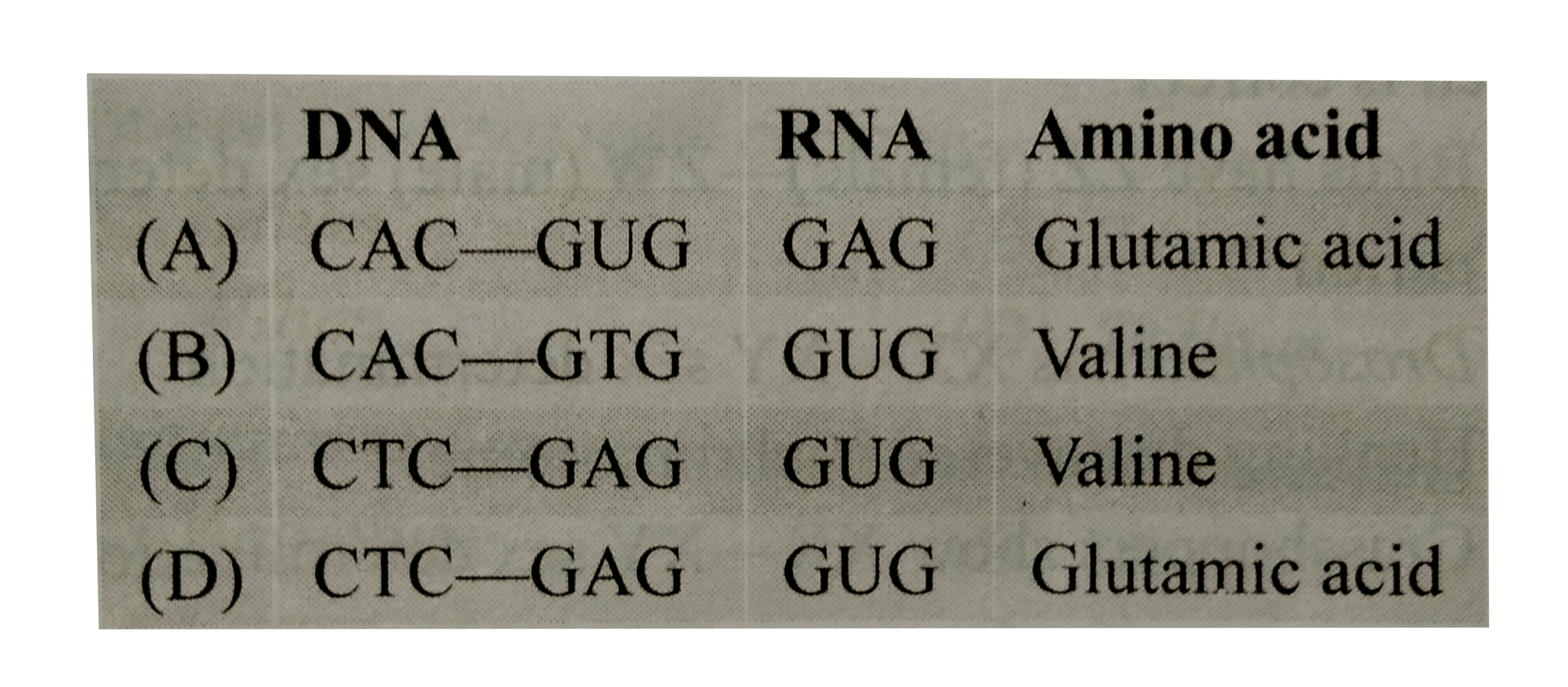 Select the correct bases of DNA, RNA and amino acid of beta chain causing sickle cell anaemia.
