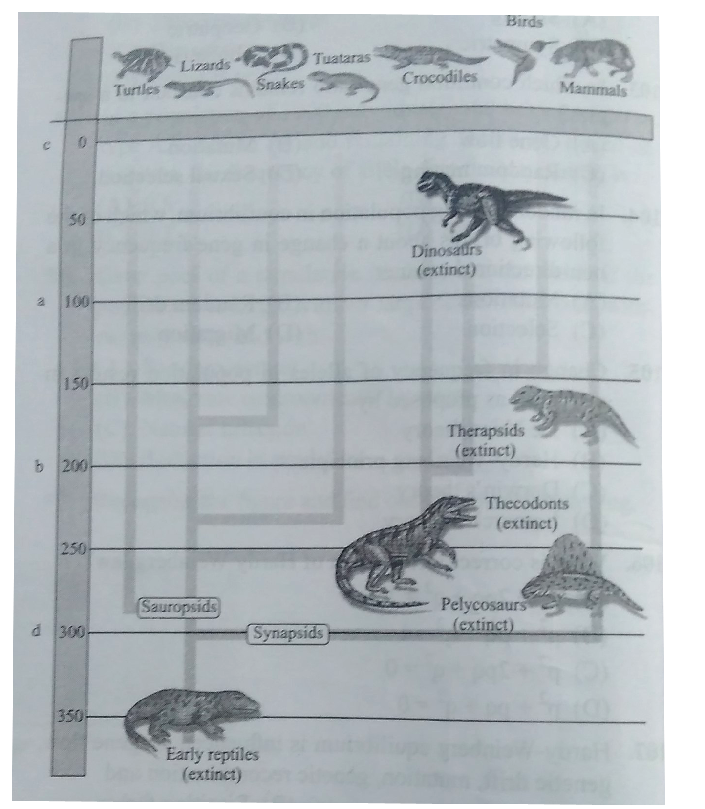 Here is given the diagrammatic representation of evolutionary history of vertebrates through geological periods. Identify the geological periods (a, b, c and d) and select the correct option.