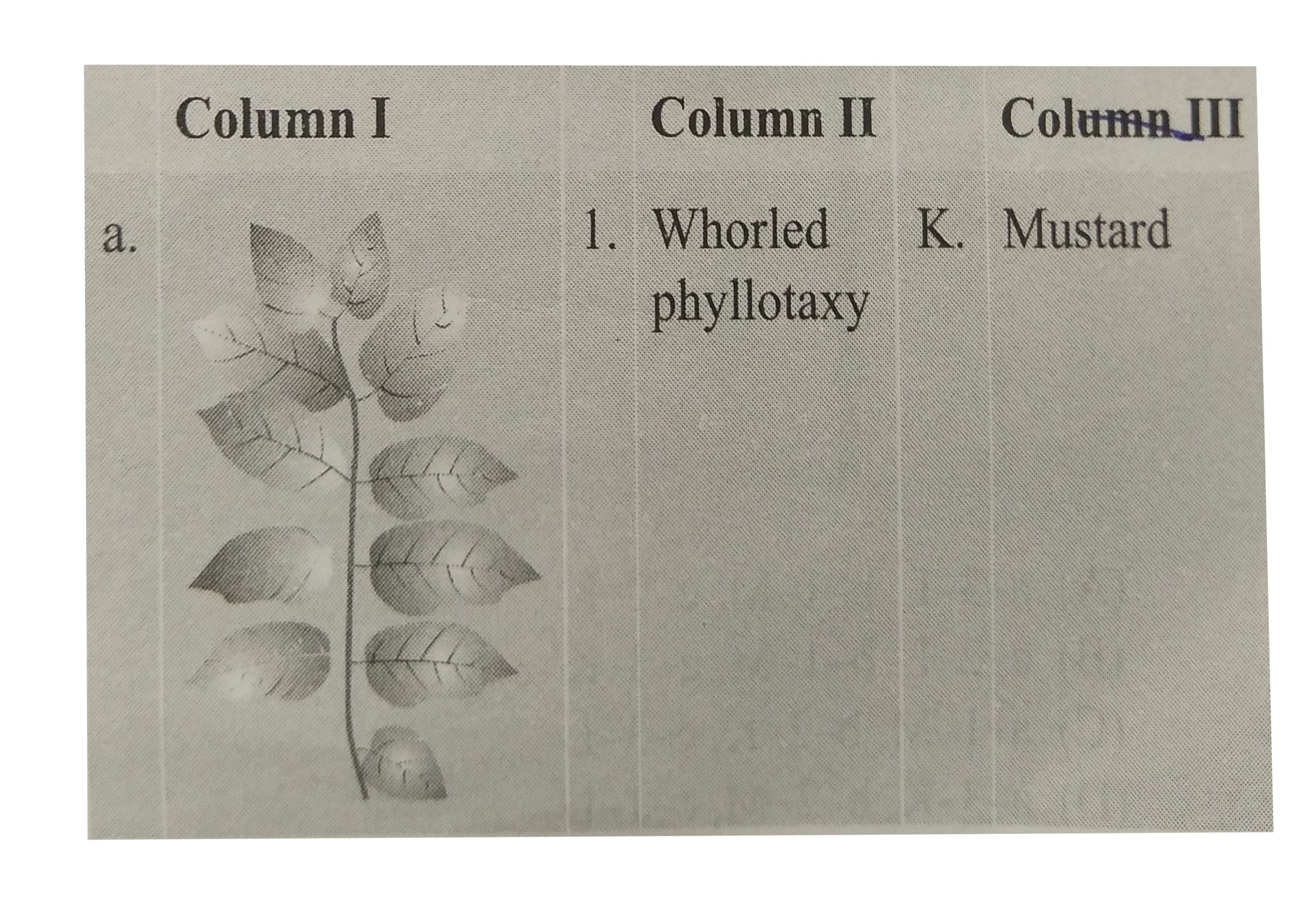Match the columns I,II and III and choose the correct combination from the options given