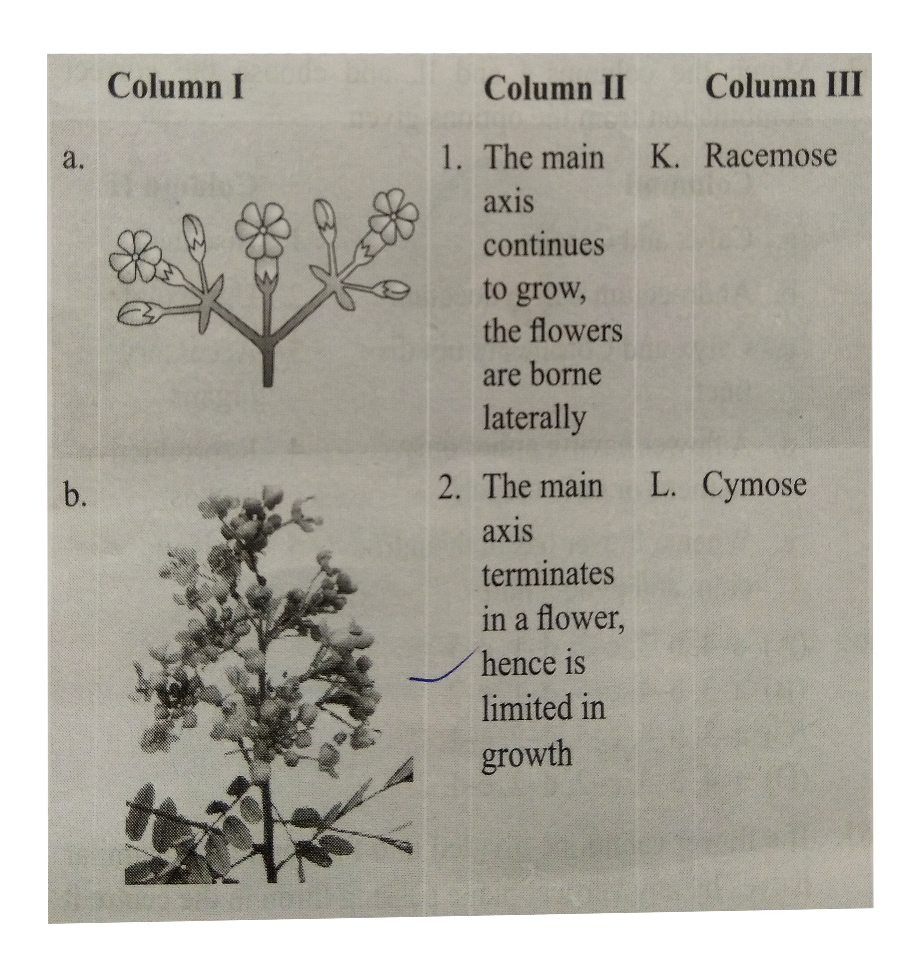 Match the columns I, II and III and choose the correct combination from the options given