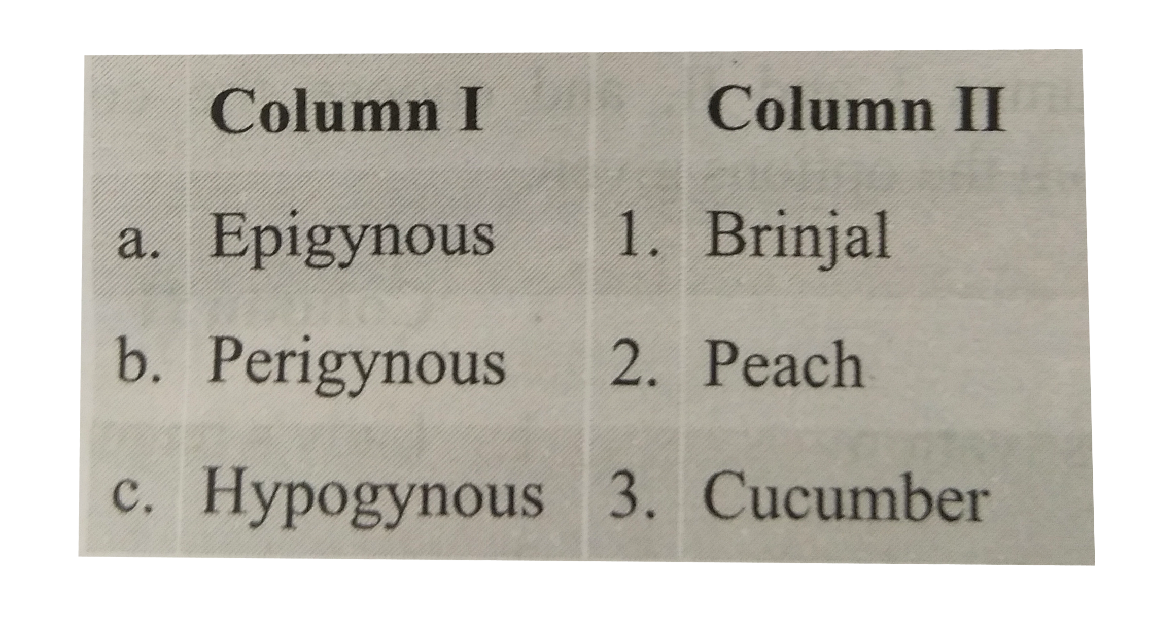 Match the columns I and II, and choose the correct combination from the options given