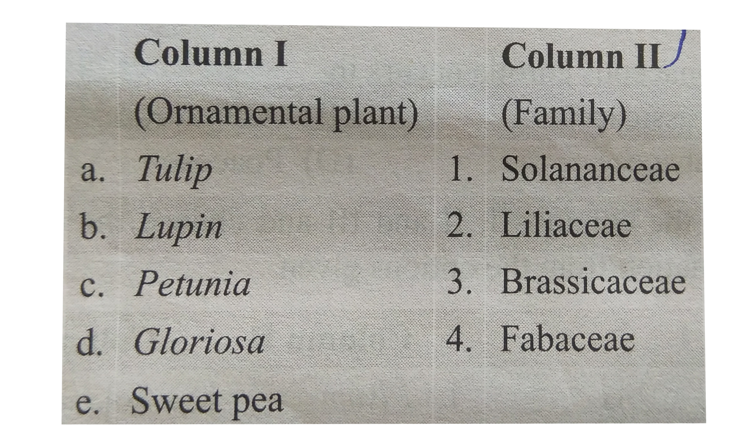 Match the column I and II, and choose the correct combination form the options given