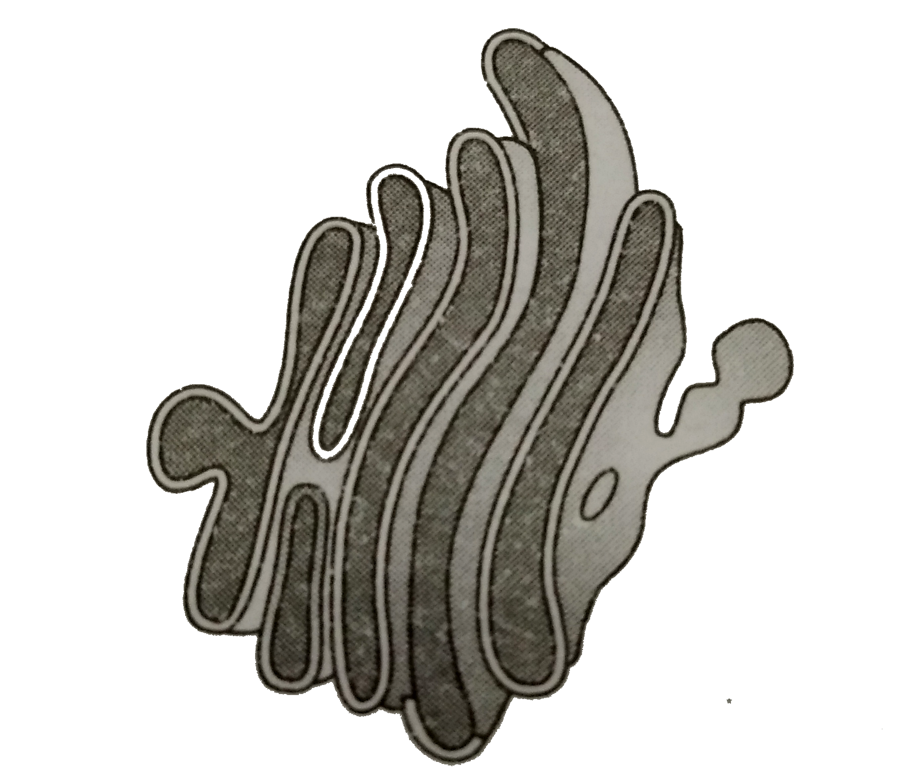 endoplasmic reticulum clipart
