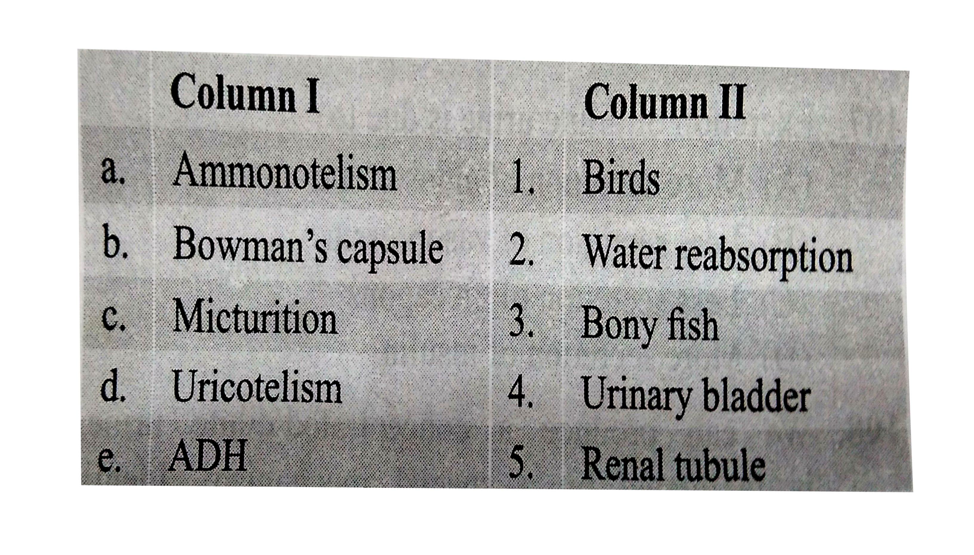 Match the columns I and II and choose the correct cobination from the option given