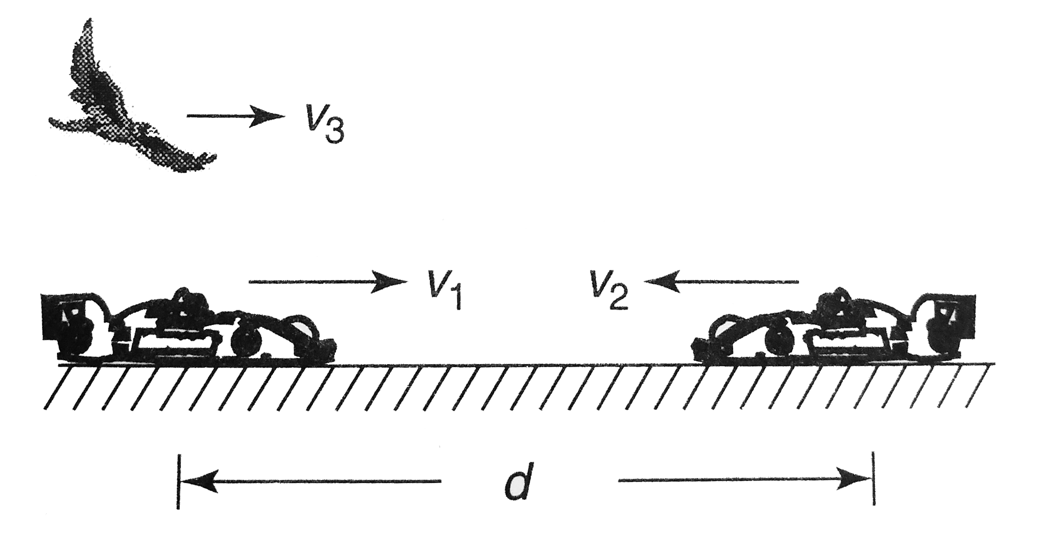 A bird flies to and fro between two cars which moves with velocities v1 = 20 m//s and v2 = 30 m//s. If the speed of the bird is v3 = 10 m//s and the initial distance of separation between them is d = 2 km, find the total distance covered by the bird till the cars meet.
