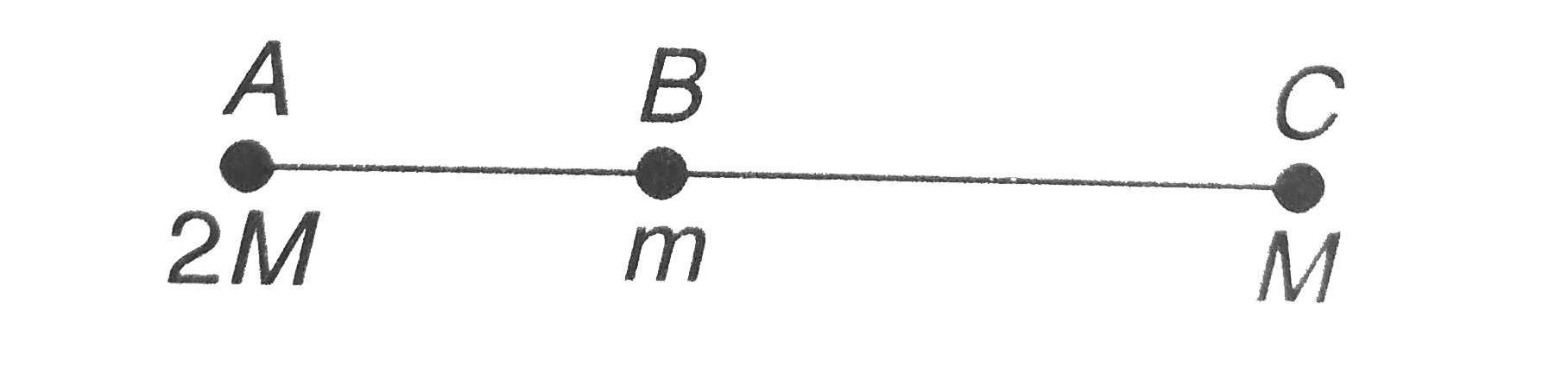 particles of masses 2M m and M are resectively at points A , B and C with  AB = (1)/(2) (BC) m is much - much smaller than M and at time  t=0 they are all at rest as given in figure . As subsequent times before any collision takes palce .