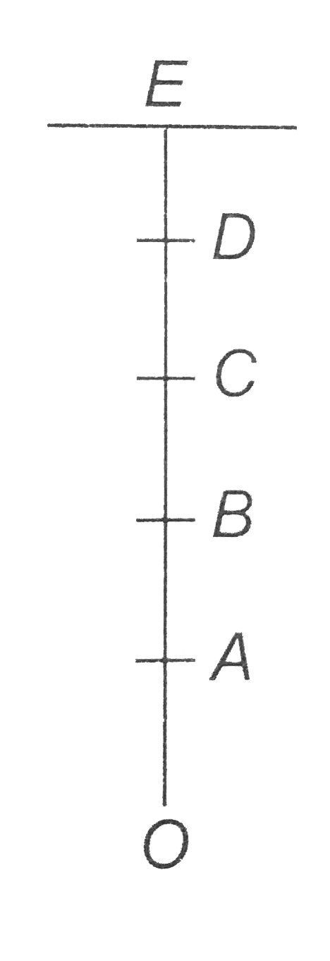 The length of wire OE is divided into five equal parts OA, AB, BC, CD and DE The wire is hanging from E and its length is given by   (5)/(4)(sigma)/(rhog), where sigma is the breaking stress and rho is the density of the material of the wire. Find the point at which wire will break