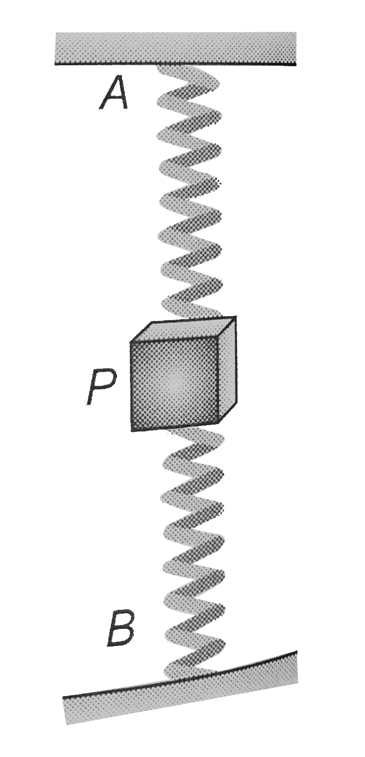 Two identical spring are attached to a small block P The other ends of the springs are fixed at A and B. when P is equilibrium the extension of top spring is 20cm and extension of bottom spring is 10cm The period at small vertical oscillation of p about its equilibrium position is (use g = 9.8m//s^(2))