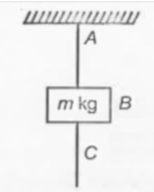 A mass of 1 kg is suspended by a string A . Another string C its connected to its lower end. If a sudden jark is given to C then