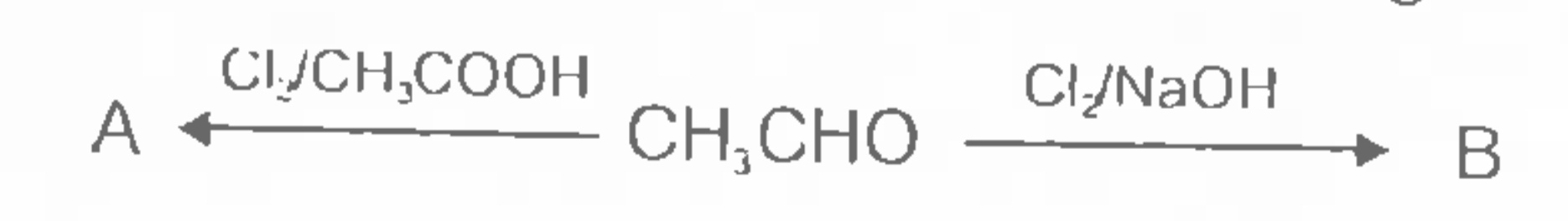Identify products A and B in the following reaction