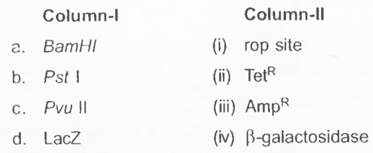 Match column I with II and choose the correct option from given code