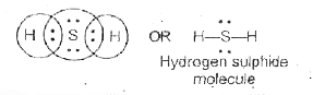 Draw the Lewis dot structure of Hydrogen sulphide molecule