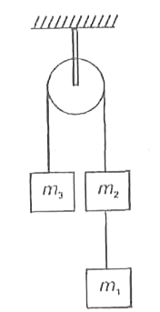 Three blocks of masses m(1)=4kg, m(2)=2kg, m(3)=4kg are connected with ideal strings passing over a smooth, massless pulley as shown in figure. The acceleration of blocks will be (g=10m//s^(2))