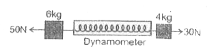 A dynamometer D is attached to two blocks of masses 6 kg and 4 kg as shown in the figure. The reading of the dynamometer is