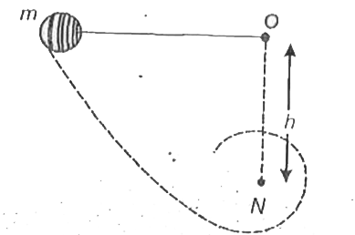 A particle of mass m attached to the end of string of length l is released from the horizontal position. The particle rotates in a circle about O as shown When it is vertically below O, the string makes contact with a nail N placed directly below O at a distance h and rotates around it. For the particle to swing completely around the nail in a circle.