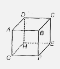 Twelve wires of equal resistacne  R are connected  to form a cube . The  effective  resistance  between two diagonal ends A and E  will be .
