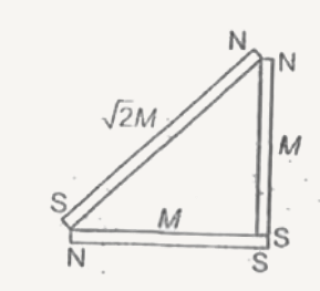 The magnetic moment of the arrangment shown in the figure is
