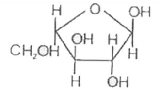 In  the following structure of the carbohydrate which of the following are used while naming it?