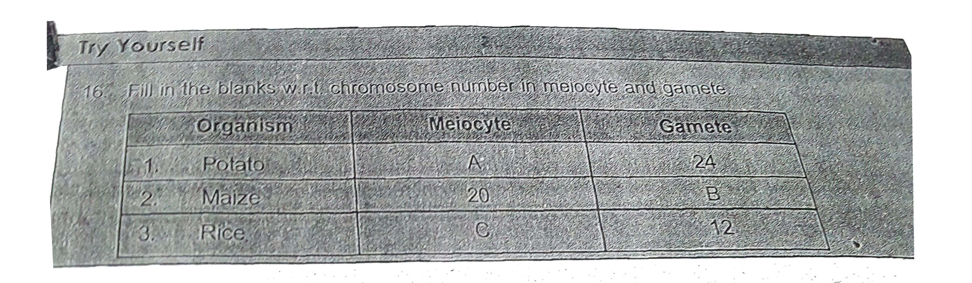 Fill in the blanks w.r.t chromosome number in meiocy and gamete