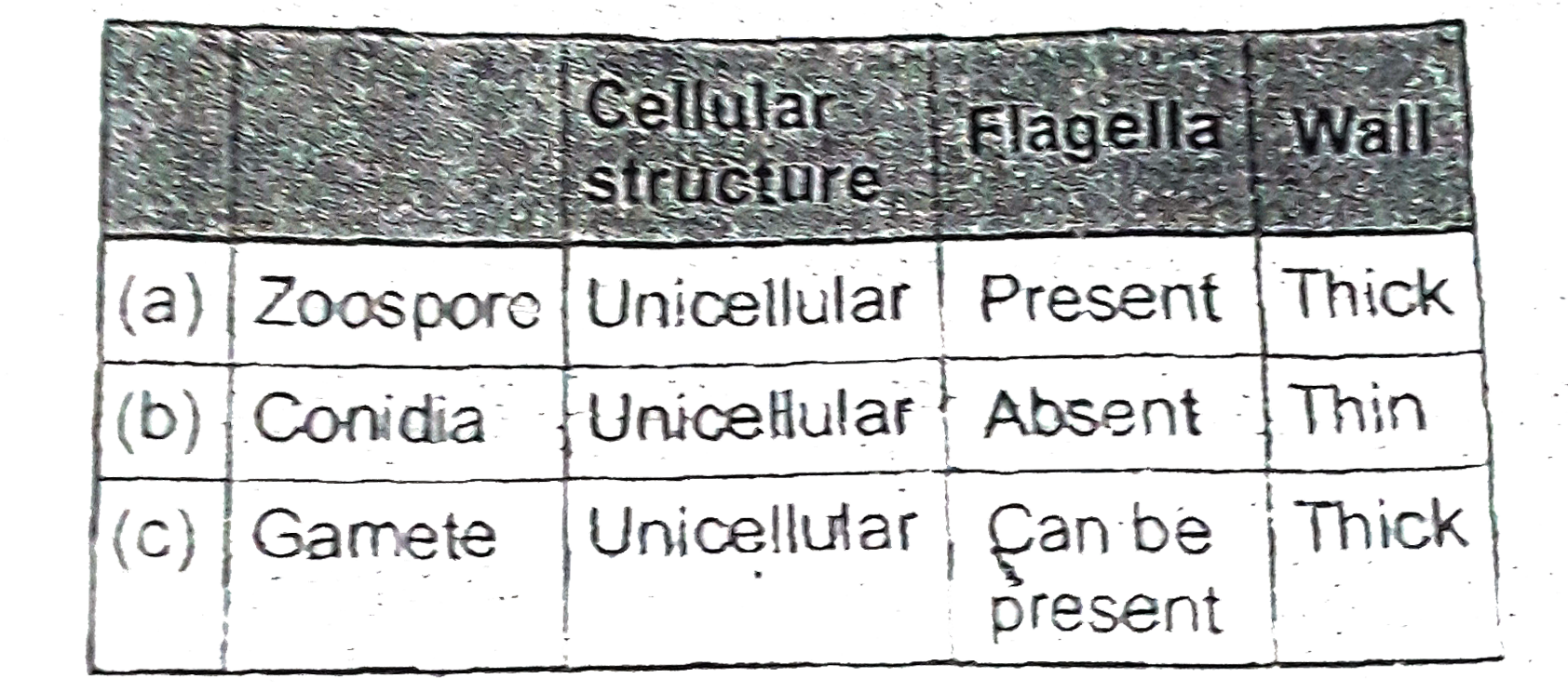 Choose correct option w.r.t. following structures