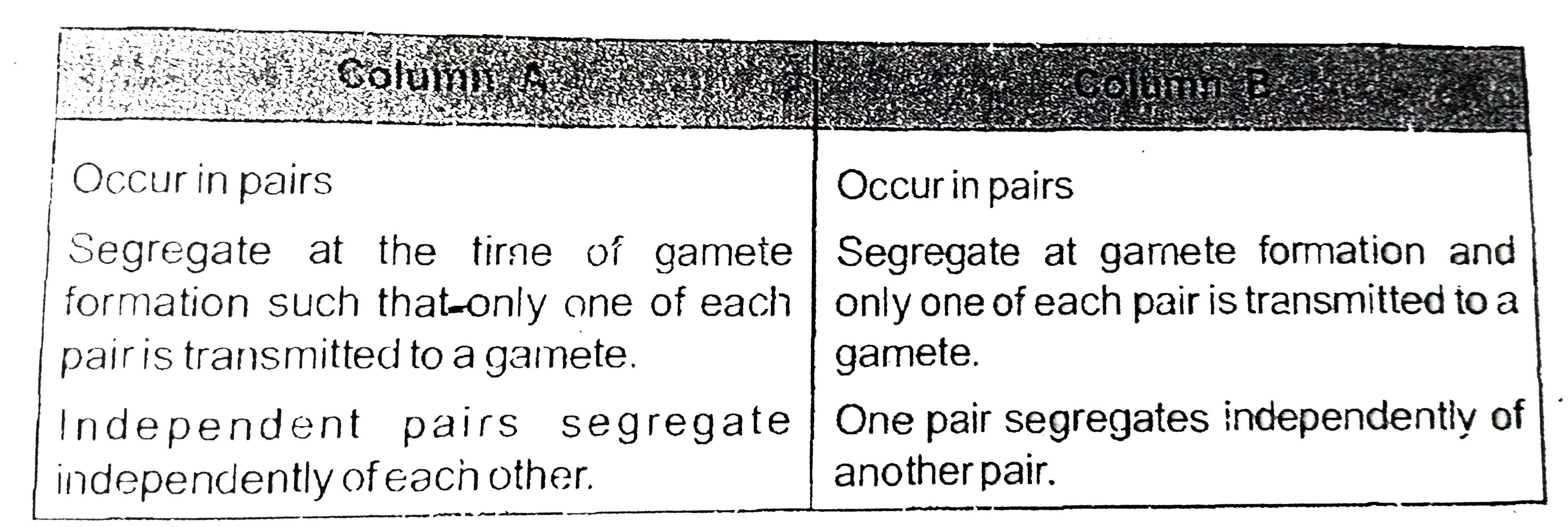 Can you tell which of these column A or B represent  the chromosome  and which  represent the gene ?