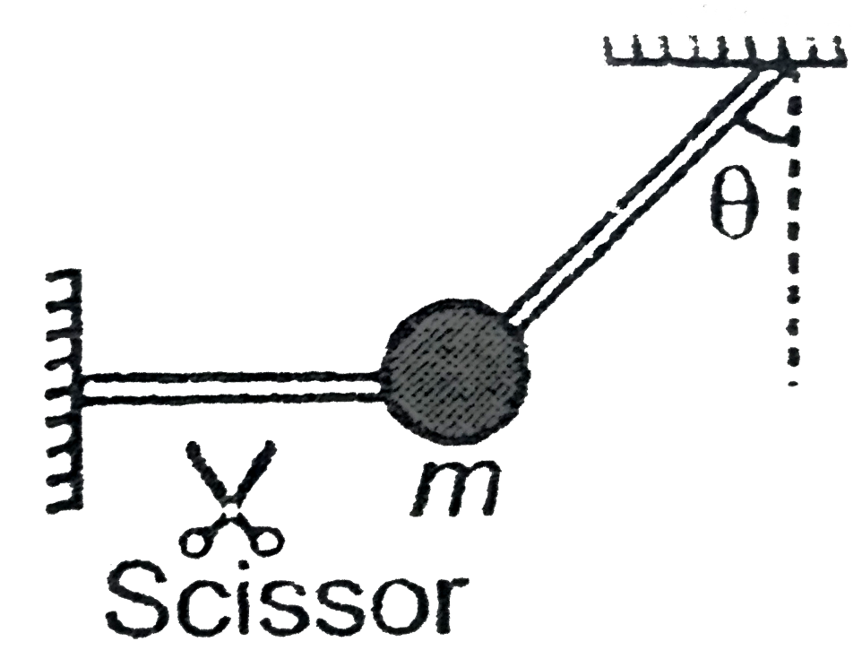 Figure shows a small ball of mass m held at rest by means of two light  and inextensible strings. The tensions in the inclined string at the instant shown and just after cutting the horizontal string are respectively