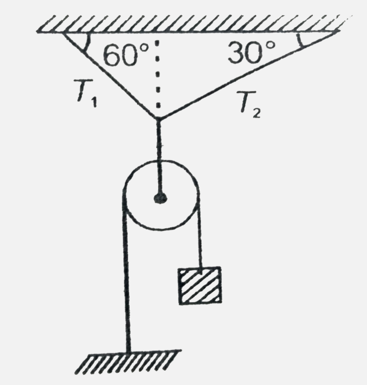 If pulley and all strings as shown are massless, then tension T(2) = 100 N  . Calculate weight of the block ( g = 10 m//s^(2))