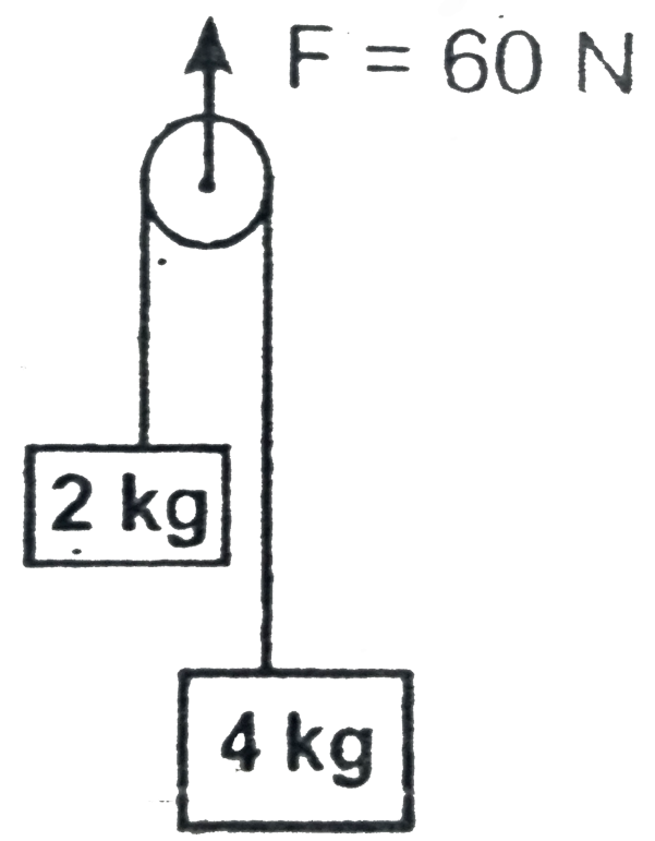 The magnitudes of accelerations of blocks of mass  2 kg and 4 kg are respectively . ( Pulleys and threads are massless) ( g = 10 m//s^(2)