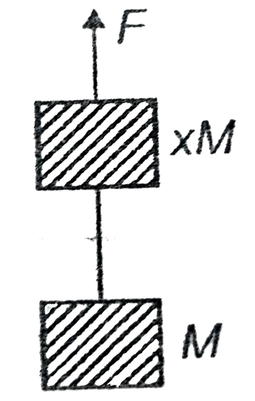 Two blocks of masses M and xM are pulled vertically upward with force F as shown in the figure . If the tension in string connecting two blocks is F/3 then find the value of x .