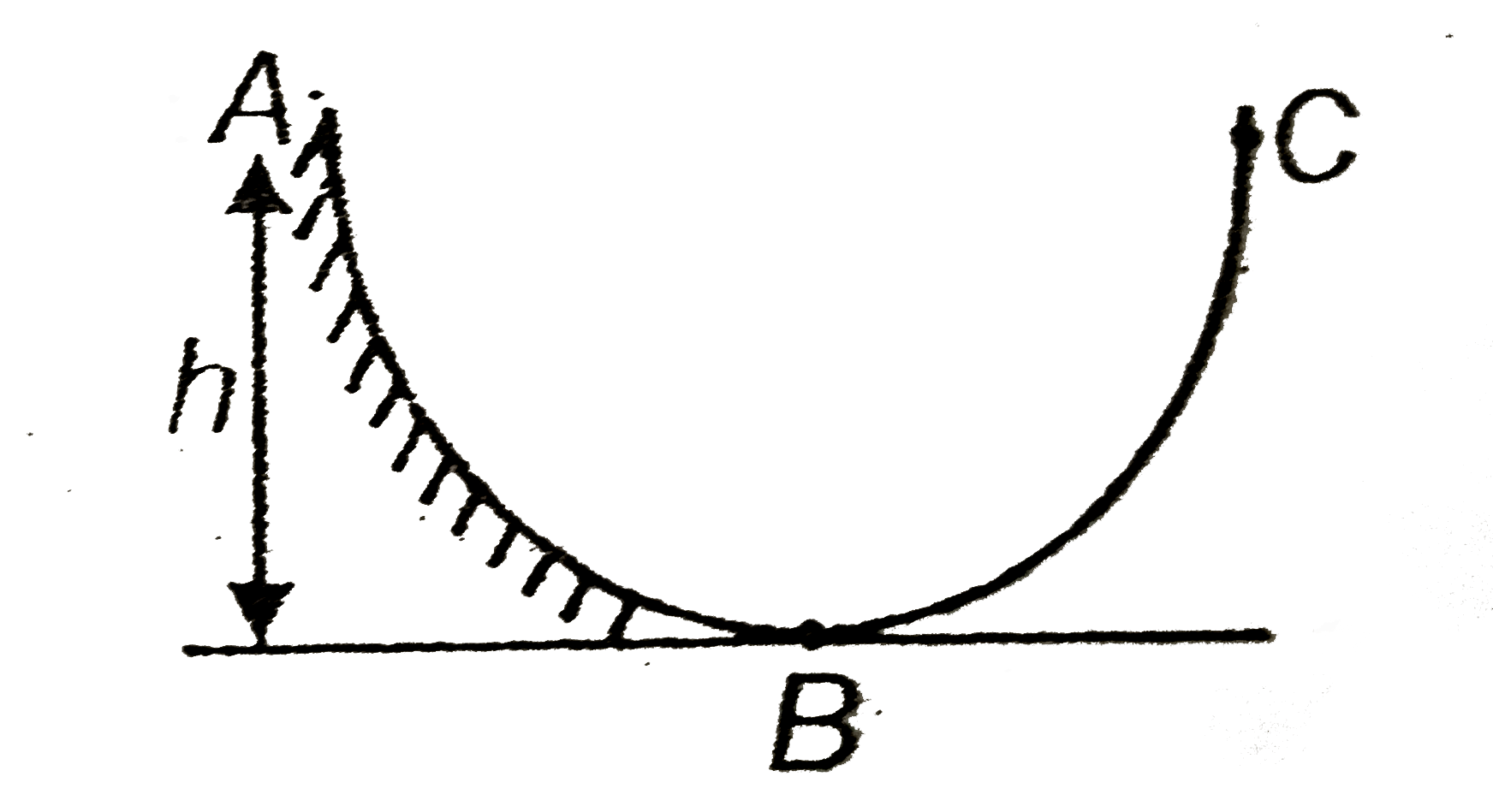 A hollow spherical ball rolls down on a parabolic path AB from a height 'h' as shown in the figure. Path AB is rough enough to prevent slipping of ball and path BC is frictionless. The height to which the ball will climb in BC is
