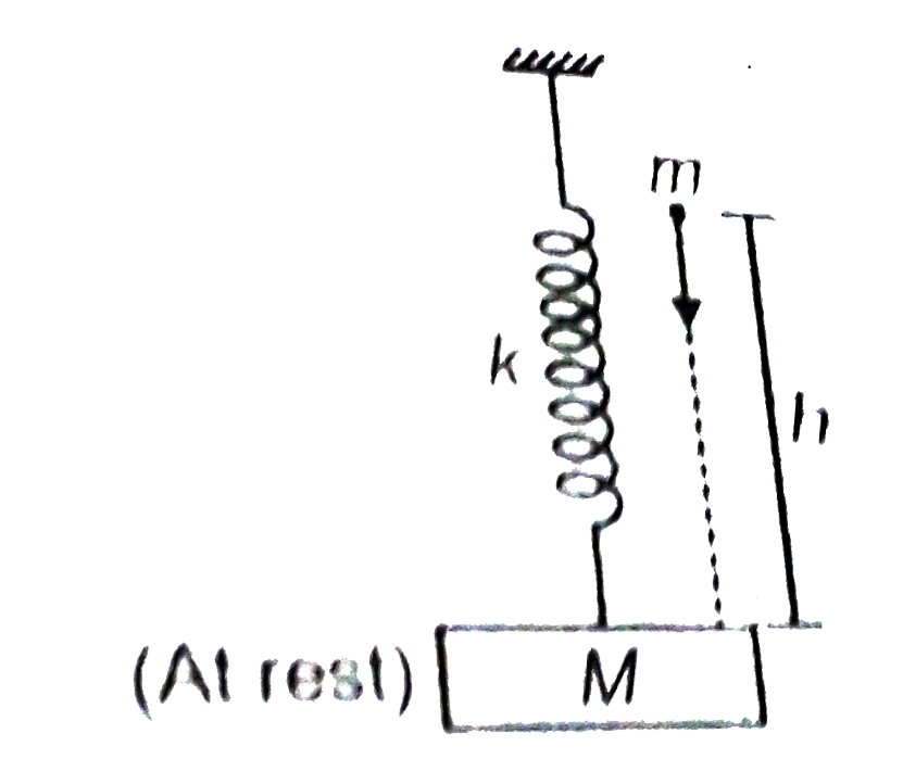 A ball is dropped from height 'h' as shown.The collision is perfectly inelastic. Select the correct alternative (s)