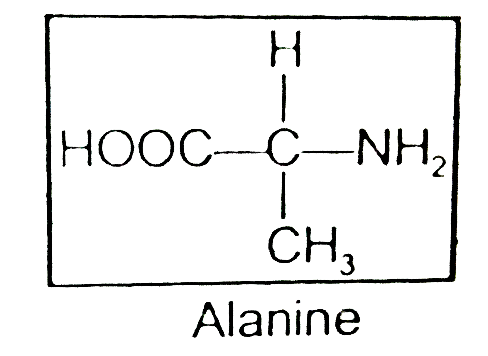 Alanine can be obtained from acetaldehyde by the following sequence of reactions.   Alanine   HOOC-underset(CH(3))underset(|)overset(H)overset(|)C-NH(2)