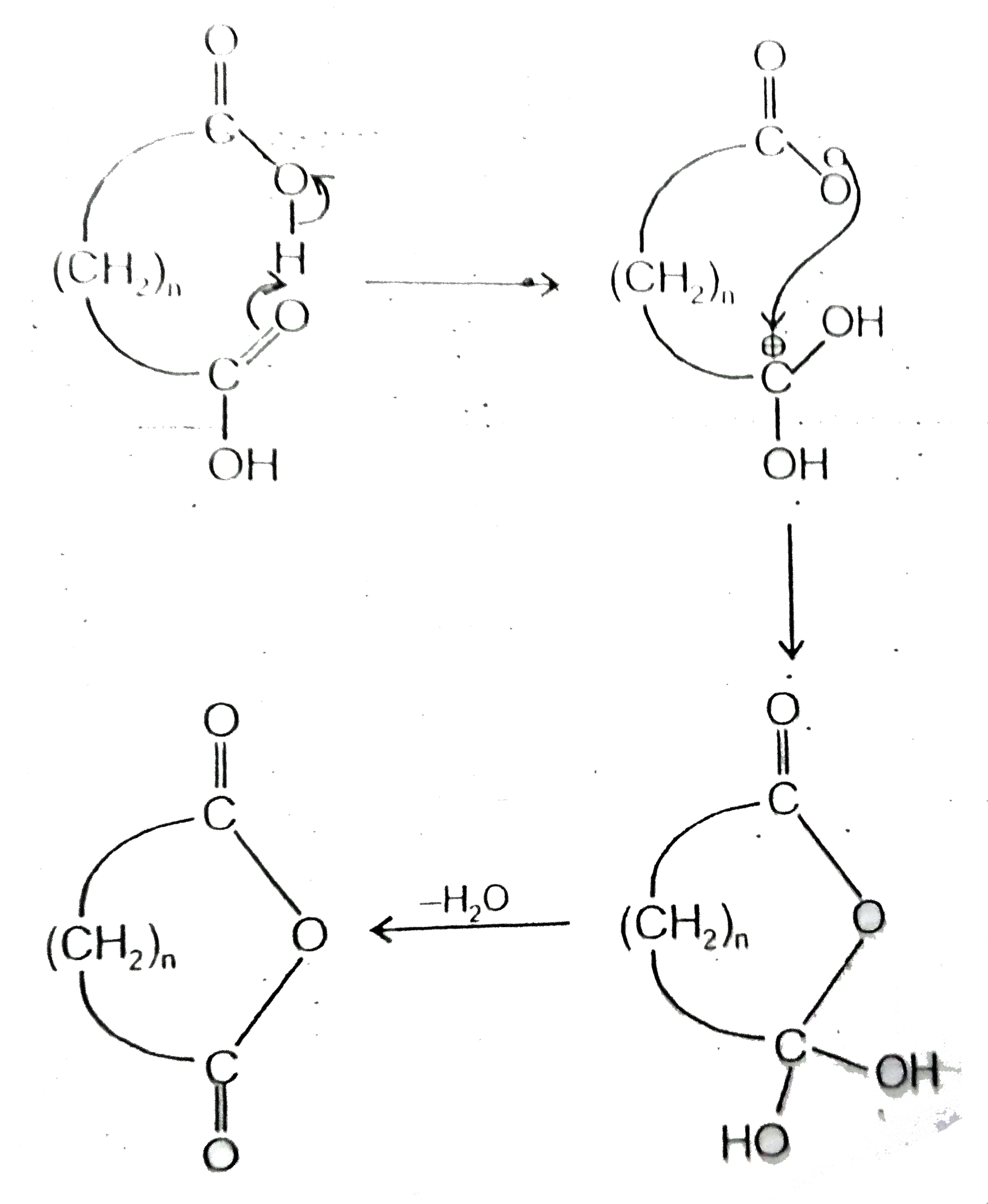 Certain  dicarboxylic acids spontaneously eliminate water when heated forming cycioc anhydirides. But for the reaction to be successfully. The cyclic anhydrides product must normally have a ring size of fivee or six members. There are two important reasons, first, the second carboxyl group can serve as the acid catalyst (by intramolecular proton transfer), as well as the nucleophile. And second, the high temperature involved reduce the need for catalyst.      Which of the following dicarboxylic acid would you expect to form cyclic anhydride?